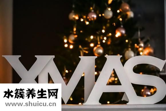 銀耳紅棗湯的做法