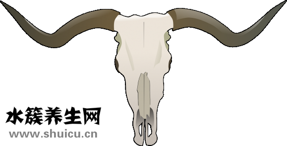 查頸椎病掛哪個科