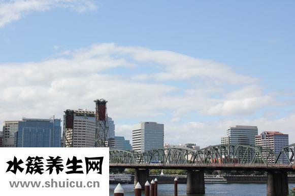 胃在哪里位置