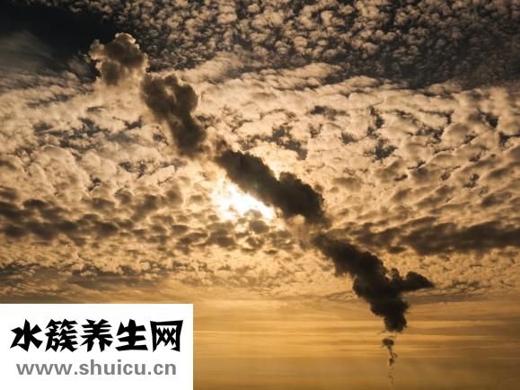 暈車后怎么辦