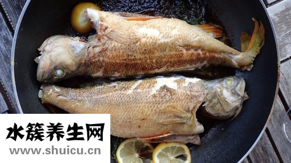 煮蛋器好用嗎
