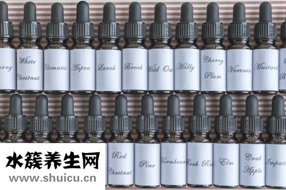水果什么時候吃最好