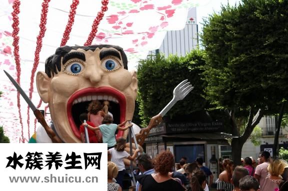 維腦路通片