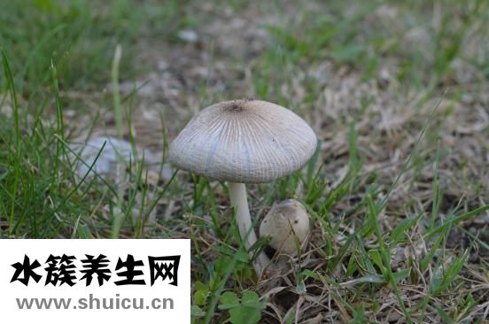 癬可以自愈嗎