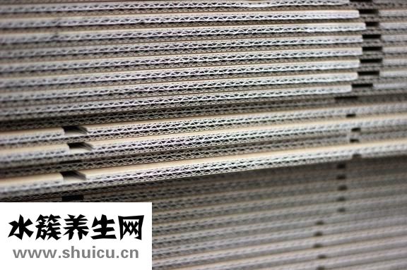 牙粉怎么用