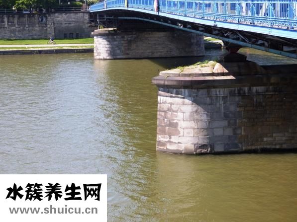 牙粉怎么用