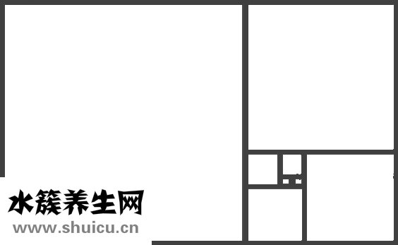 身高與體重