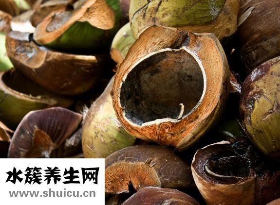 新鮮椰子肉最佳吃法