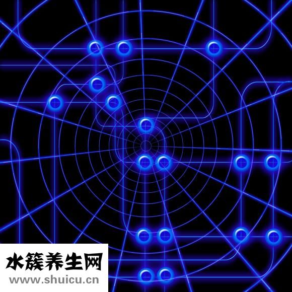 菟絲子中藥