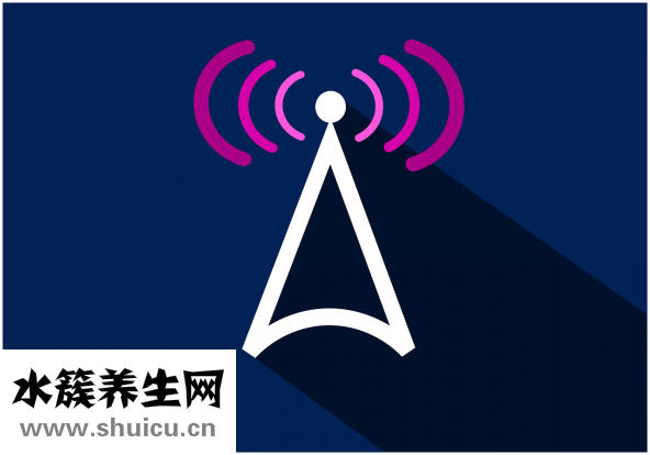 身高與體重