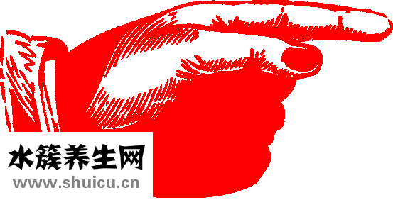 穴位按摩視頻