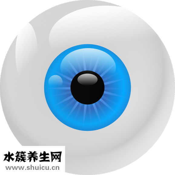 眼球結構圖