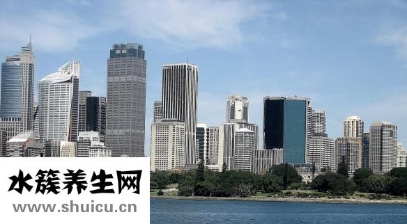 西洋參價格表