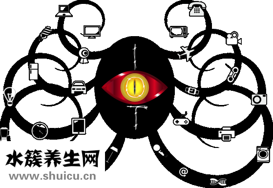 眼睛類型圖片