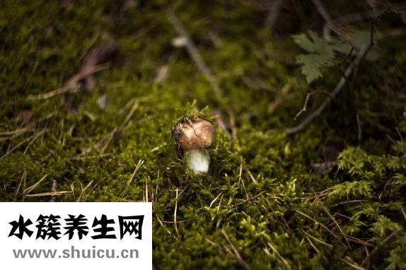 水魚的功效