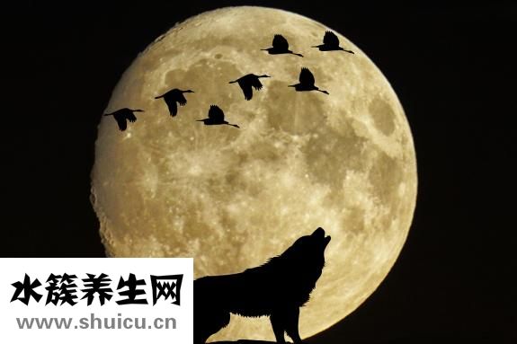 魷魚炒青椒