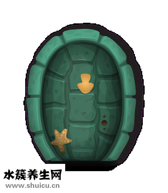 蕾絲金露花