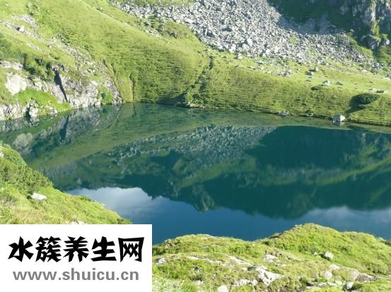 牙冠多少錢