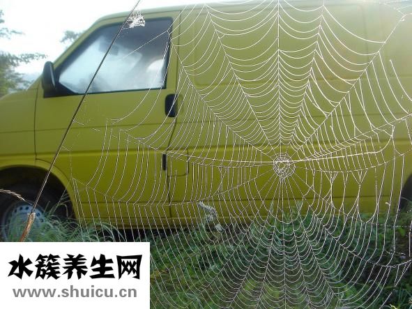 黃綠色的痰