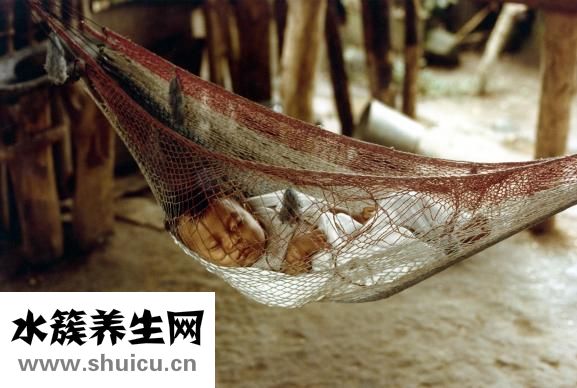 胎盤長什么樣子圖片
