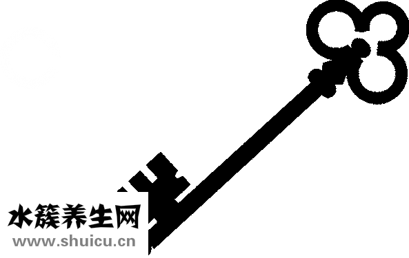 腎上腺糖皮質激素