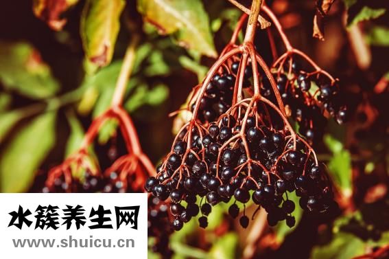 香菇豆腐湯