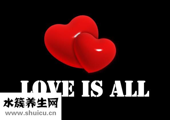 龍骨是什么
