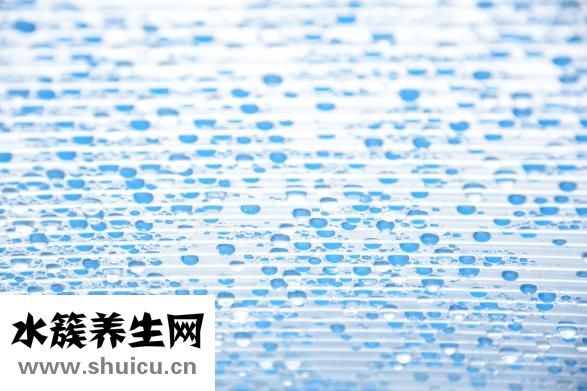 燕窩的營養