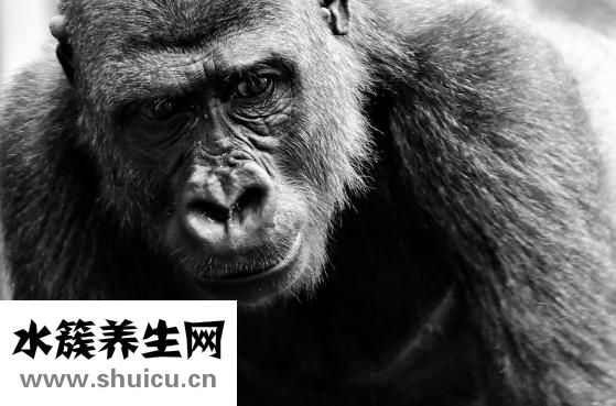 生化妊娠癥狀