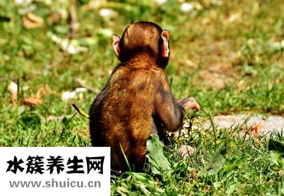 駝奶怎么喝