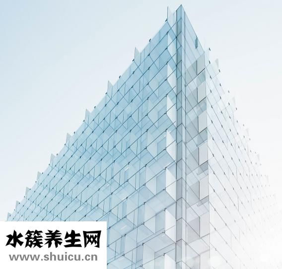 粉絲好消化嗎