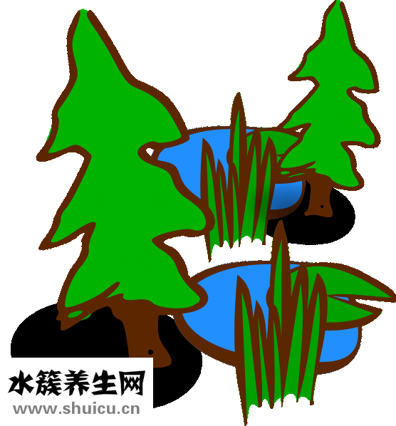 消除老年斑