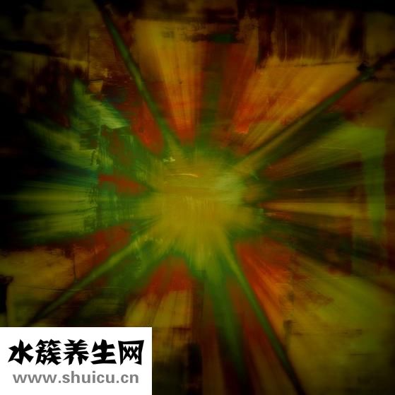 瑜伽減肥法