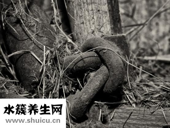 酸奶會胖嗎