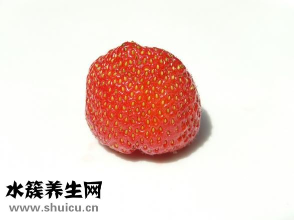 草莓苗的價格