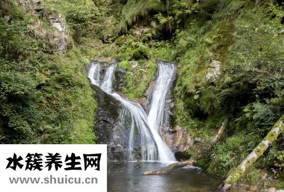 陰囊瘙癢脫皮