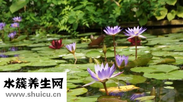 眼袋眼皺紋