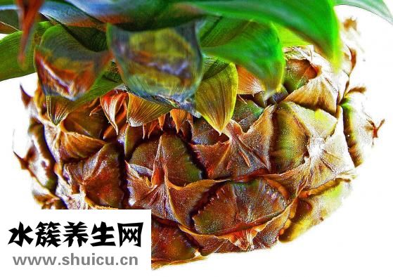 水果慕斯蛋糕