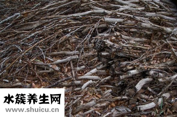 水果酸奶燕麥