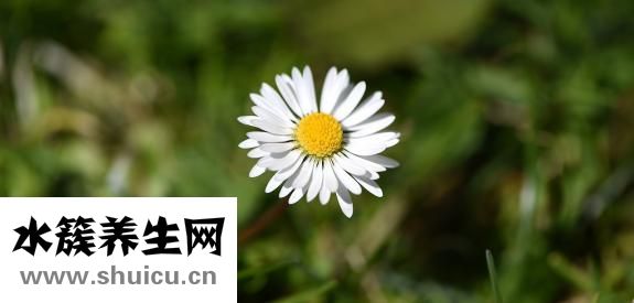 眼袋眼皺紋