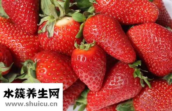 草莓苗的價格