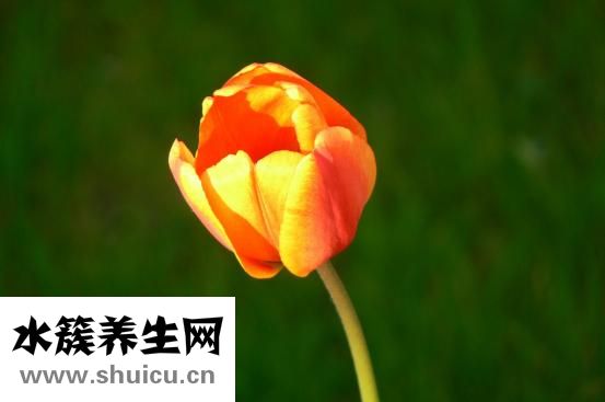 眼袋眼皺紋
