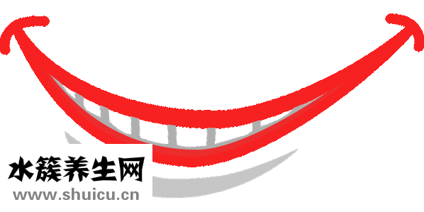 牙刷怎么選