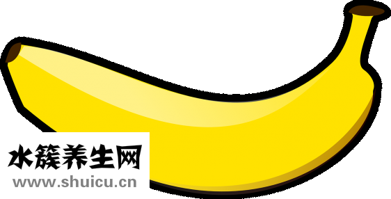香蕉的熱量