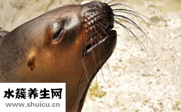 膝關節僵硬
