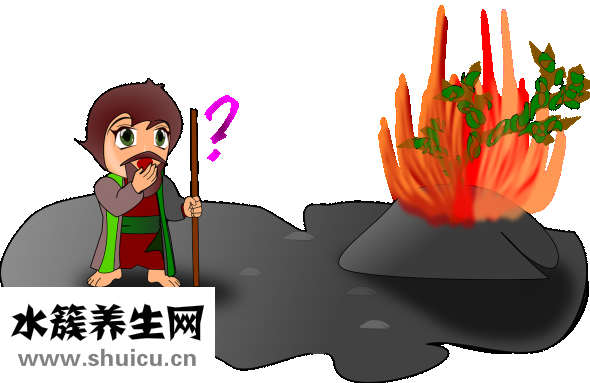 長鏈脂肪酸
