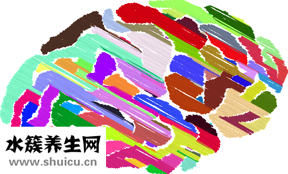 牙體牙髓科