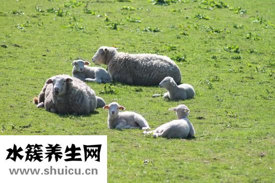 月經止痛藥