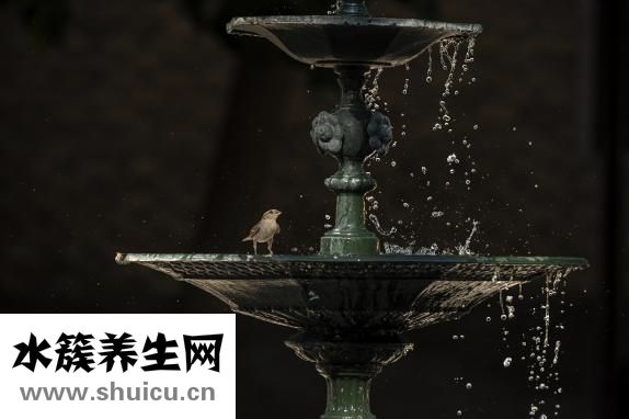 神經源性損害