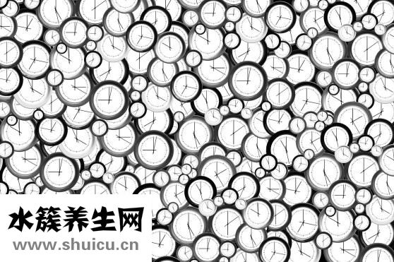 椰子凍怎么吃